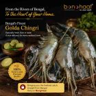 Tiger Size Golda Chingri (Golda Prawn) 1 KG 