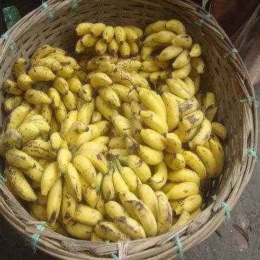 Kathali Kola (কাঠালী কলা)
