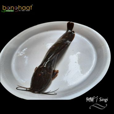 Shingi Fish (Maach) 1KG (Cut and Cleaned)