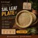 Sal Leaf Plate 2500 PCS | 10 inch size  