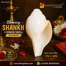 Blowing SHANKH / CONCH SHELL (polished)