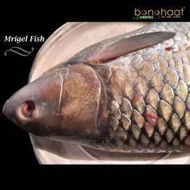 Mrigal Fish (Maach) 1KG (Cleaned and Cut)