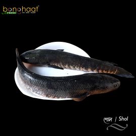 Shol Fish (Maach) 1KG (Cut and Cleaned)